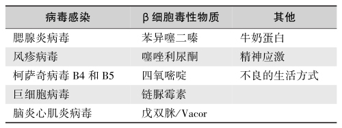 表4 T1DM发病的环境因素